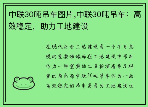 中联30吨吊车图片,中联30吨吊车：高效稳定，助力工地建设