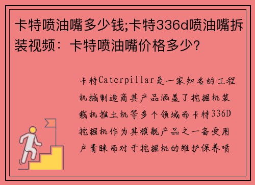 卡特喷油嘴多少钱;卡特336d喷油嘴拆装视频：卡特喷油嘴价格多少？